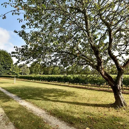Belle Demeure Xixe Au Coeur Des Vignes 别墅